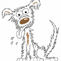 Dogsbody Walking Dogsbody Walking