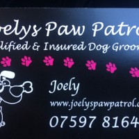 Joely's Paw Patrol Joely's Paw Patrol