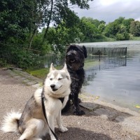 All Weather Walkies London All Weather Walkies London