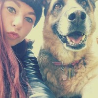 pet sitting/cleaning services pet sitting/cleaning services