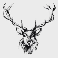 Stag Advanced Cleaning Services Stag Advanced Cleaning Services