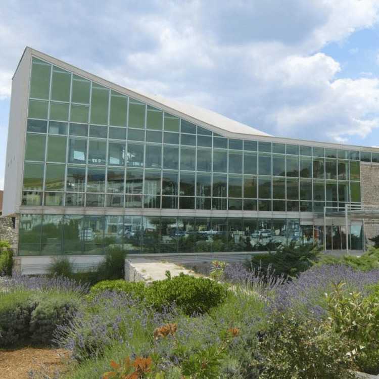 Category image