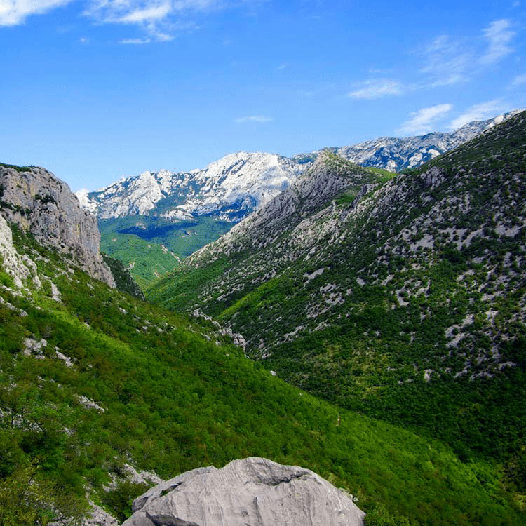 Category image