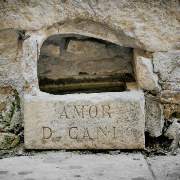 Category image