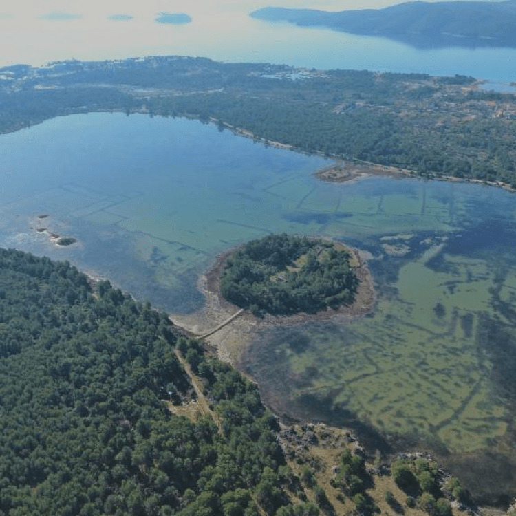 Category image