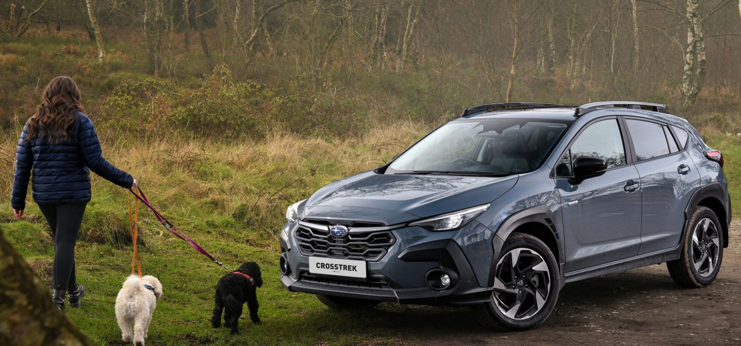 Dogs welcome at Subaru