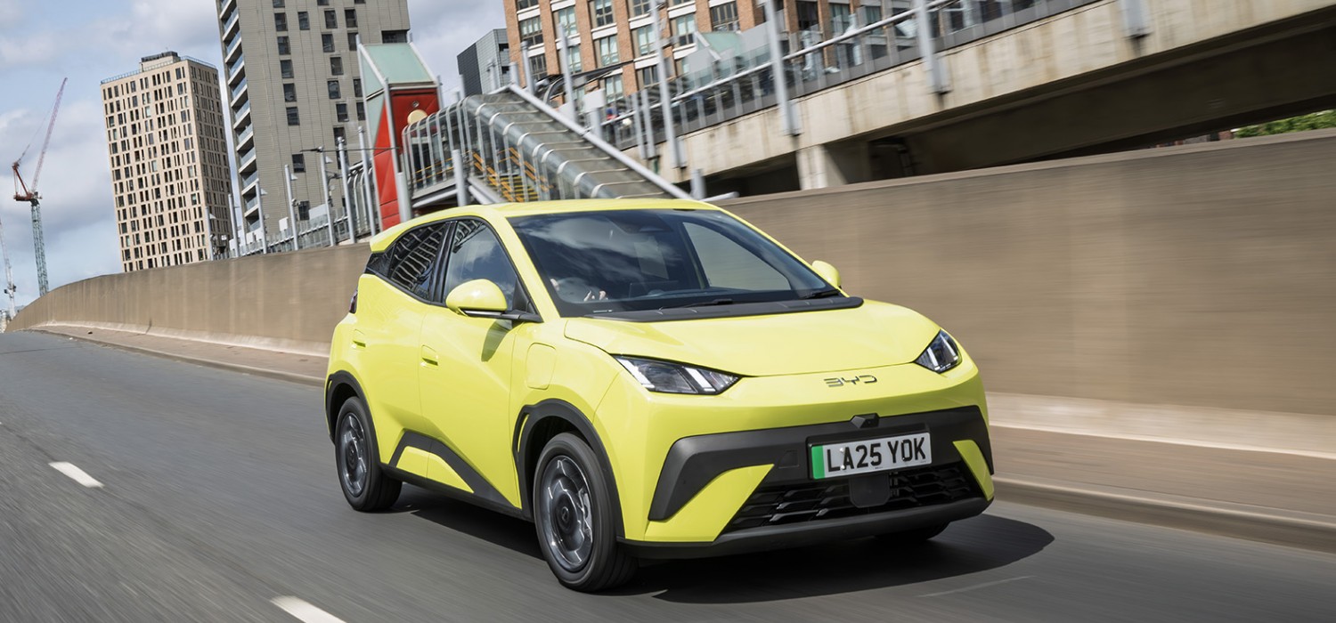 Surf up at BYD