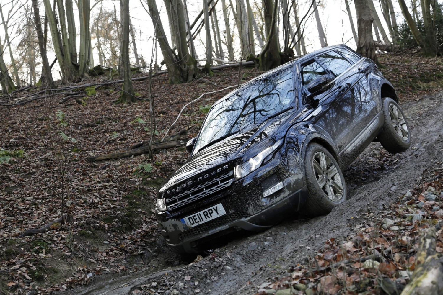 Land Rover king of the castle Eurekar