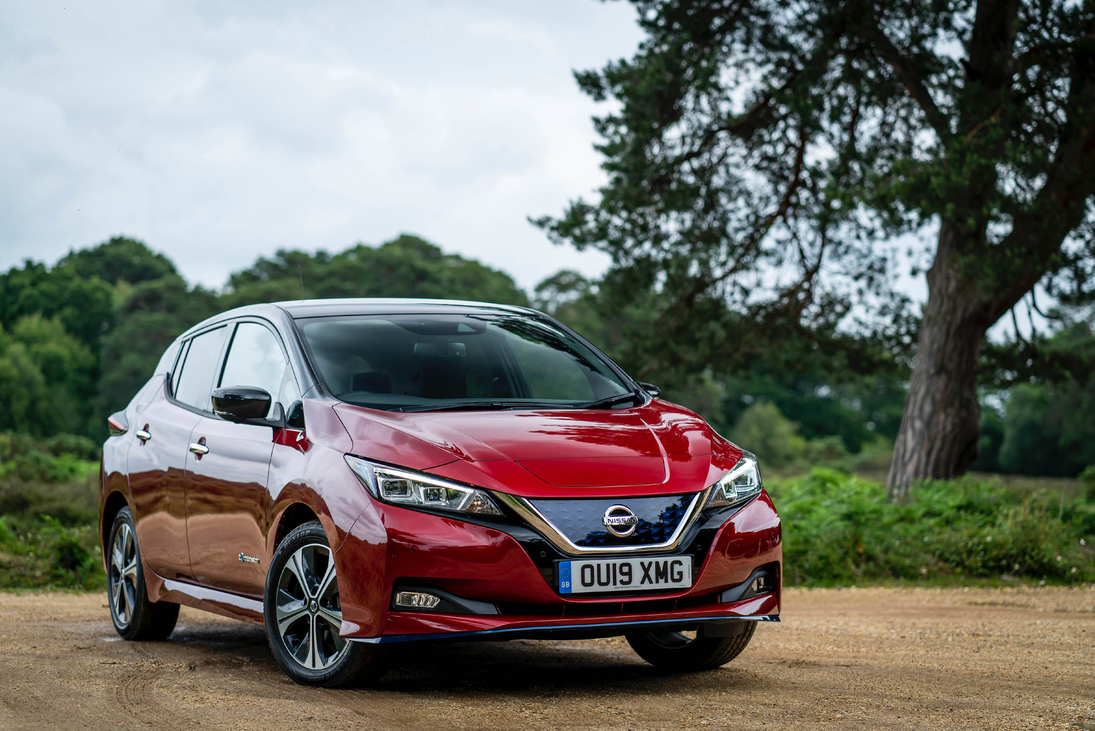 Nissan leaf 2019. Ниссан лиф 2021. Leaf e g. Nissan leaf 2024. Nissan leaf e+ nismo.