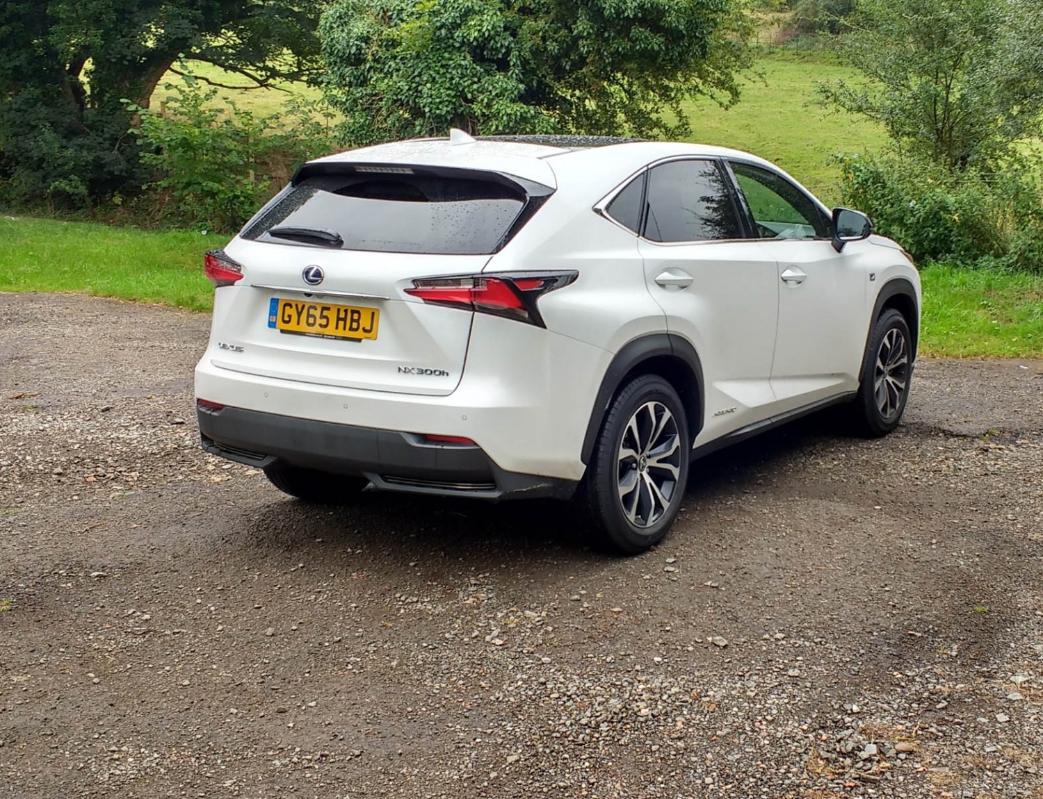 Lexus NX 300h F Sport Eurekar