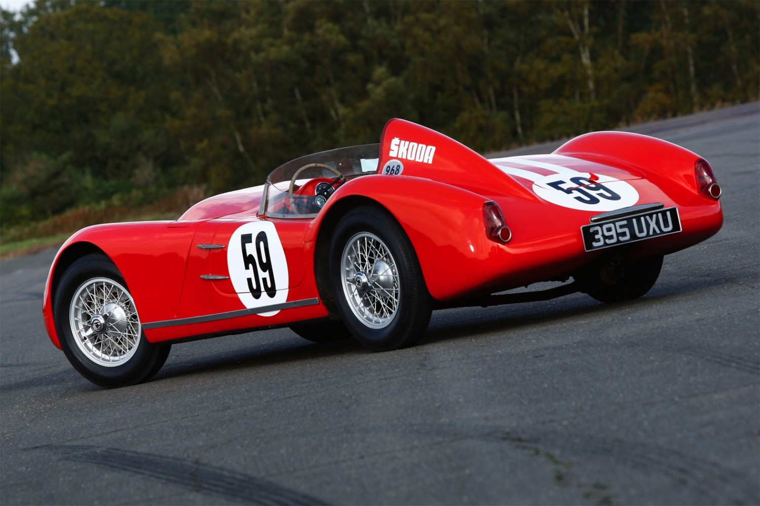 Spider skoda r17