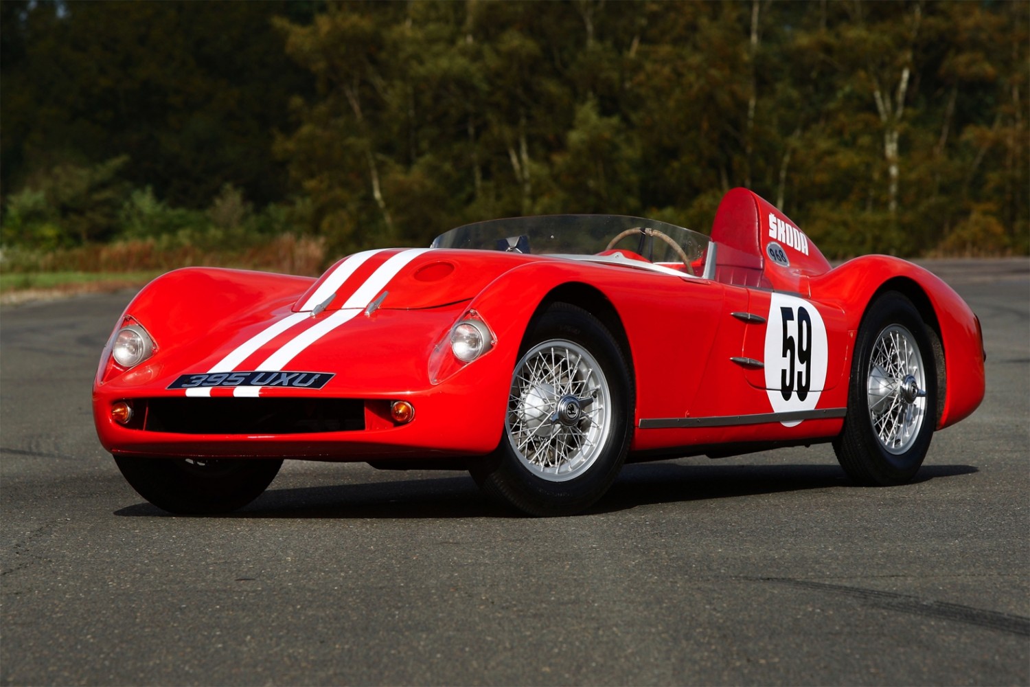 Spider skoda r17