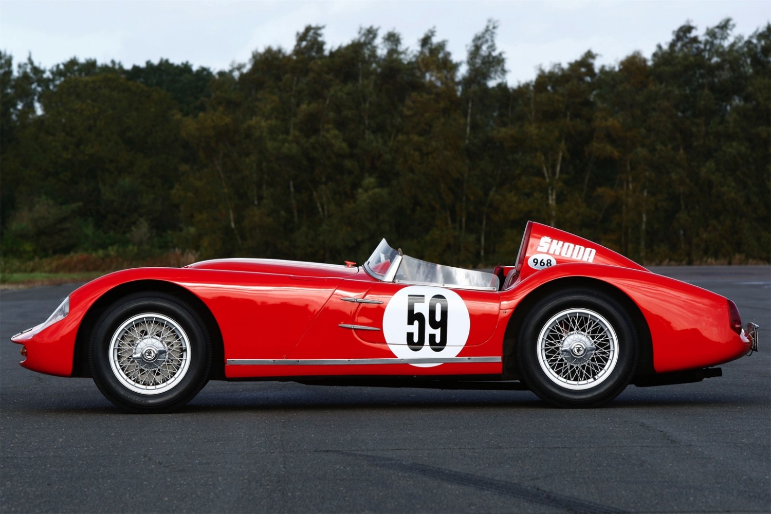 Spider skoda r17