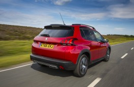 Peugeot 2008, 66 registration plate, rear, action