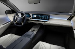 DS No 8, 2024, interior