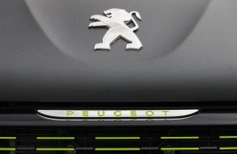 Peugeot 208, nose