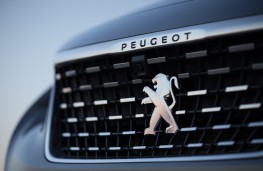 Peugeot 3008 GT, 2017, grille