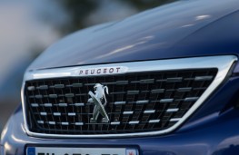Peugeot 308, 2017, grille