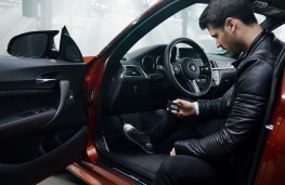 Checking for car clocking with Carly device