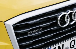 Audi Q2 2.0 TFSI quattro, 2017, grille