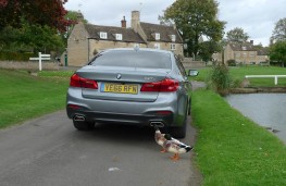  BMW 520d M Sport, rear static