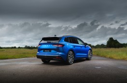 Skoda Enyaq Cargo, 2025, rear