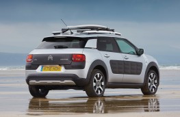 Citroen C4 Cactus Rip Curl, rear