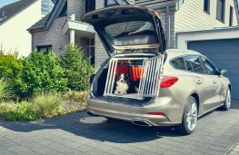 Ford Focus Estate, 2019, dog crate