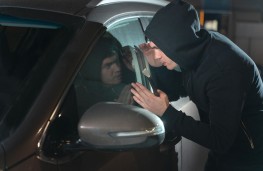 Car criminals