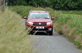 Dacia Sandero Stepway, action