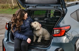 Subaru Crosstrek, 2026, dog in boot