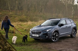 Subaru Crosstrek, 2026, with dog walker