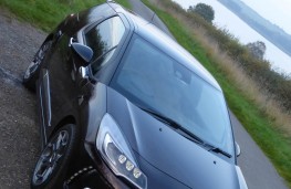 DS3, upright reservoir