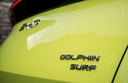 BYD Dolphin Surf, 2025, badge