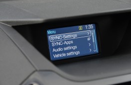 Ford EcoSport, 2015, display screen