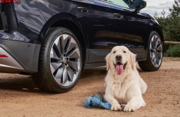 Skoda Enyaq, 2025, with dog