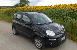 Fiat Panda, front static