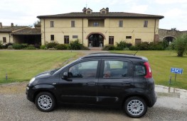 Fiat Panda, side hotel