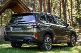 Subaru Forester, 2024, rear