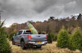 Fiat Fullback Cross, rear