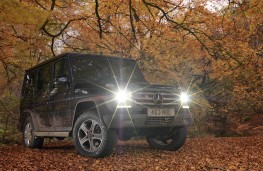Mercedes G-Class, trees