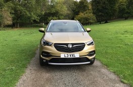 Vauxhall Grandland X, 2017, nose