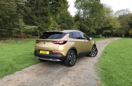 Vauxhall Grandland X, 2017, rear