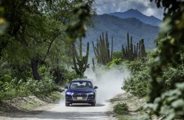 Audi Q5, 2017, off road