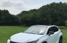 Lexus NX300h F Sport, front