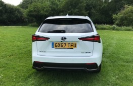 Lexus NX300h F Sport, rear