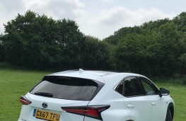 Lexus NX300h F Sport, rear