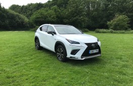 Lexus NX300h F Sport, front