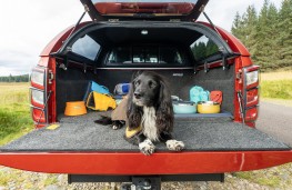 Isuzu D-Max partners with Ruffwear, 2025, dog in vehicle