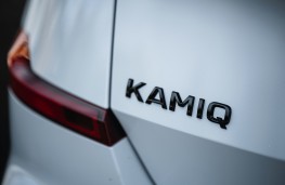 Skoda Kamiq, 2025, badge